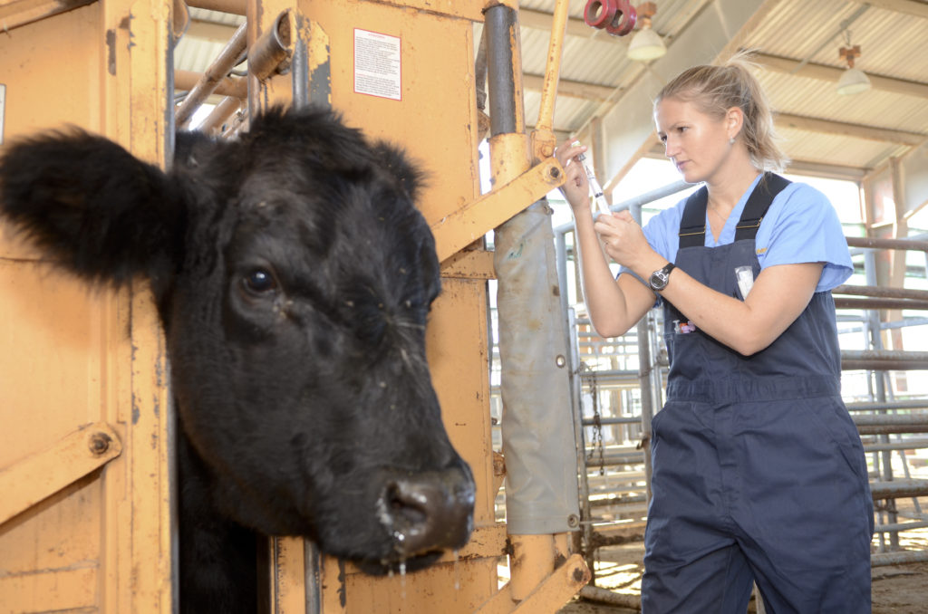 Veterinarians Earn nine hours of continuing education credit the day