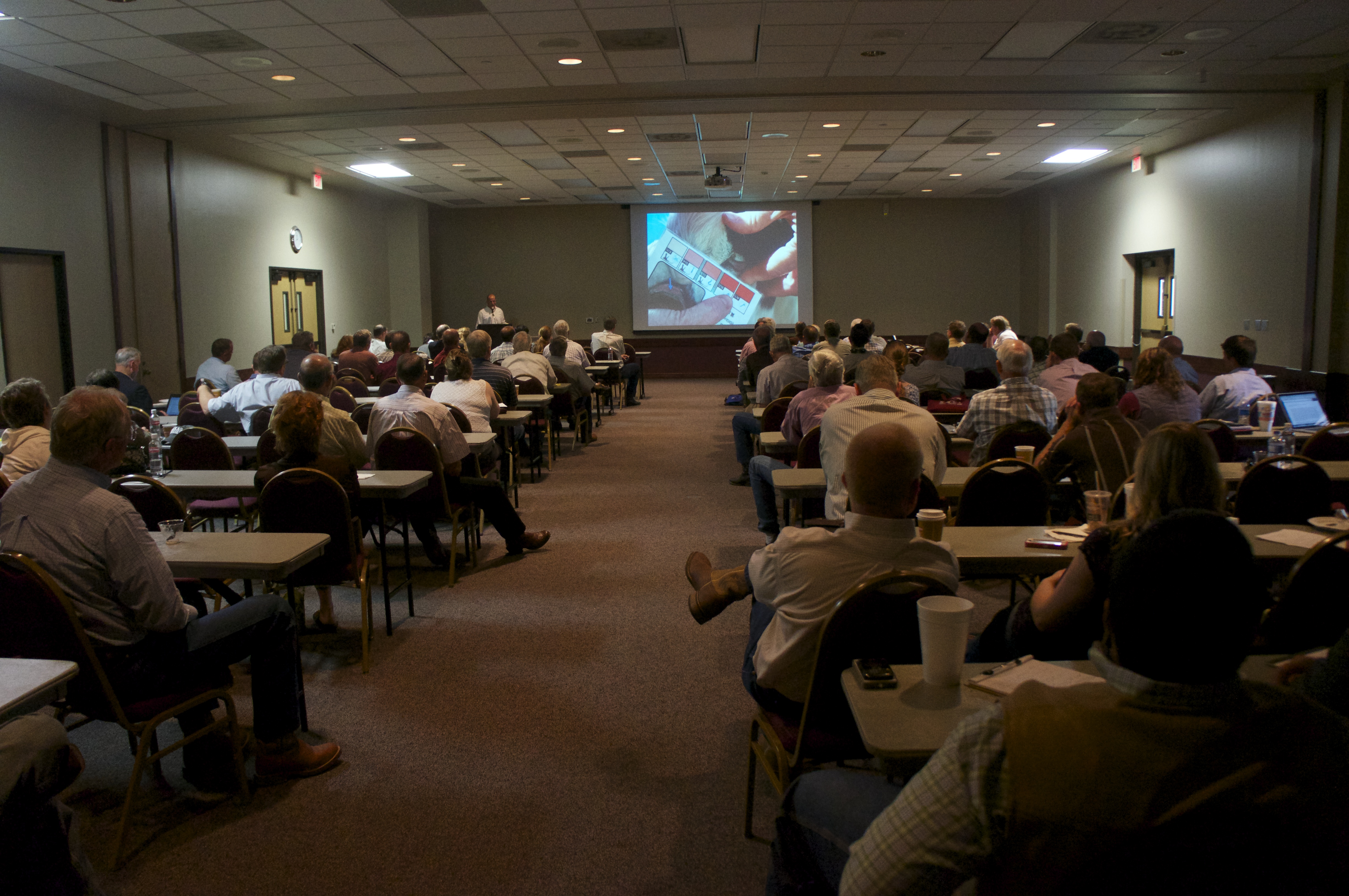 Continuing education seminar on beef cattle attracts more than 80 veterinarians ...4912 x 3264