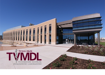College Station Laboratory Texas A M Veterinary Medical