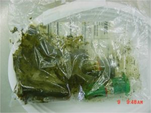 Green material sample in Ziploc bag with submission form leaked