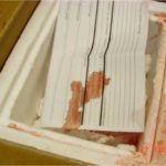 Red fluid spilled onto white Styrofoam container and submission form