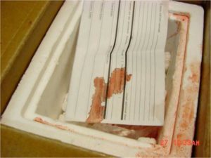 Photo of a shipping label stained with a blood-colored liquid on top of some leaking samples in a styrofoam cooler