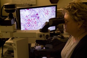 A woman in a grey shirt and maroon jacket looking at pathogens under a microscope
