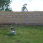 Photo of the Amarillo TVMDL lab sign in large silver letter on tan brick outside located in grass and around trees.