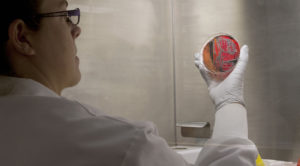 Photo of a woman in glasses, gloves, and a white lab coat examining a petri dish