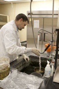 Man in lab coat and gloves adding water from the faucet to a sample in the sink