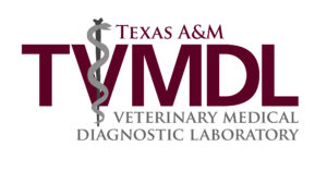 TVMDL logo, maroon and gray writing