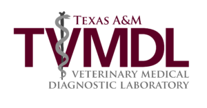 Maroon and grey TVMDL logo with veterinary symbol between the letter V on a white background