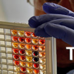 Close up of a technician in gloves and goggles examining dark red, orange, and yellow contents in a testing plate with a white TVMDL logo in the bottom right handed corner