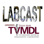 TVMDL Podcast logo for Labcast with reflective design above maroon and grey TVMDL logo