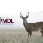 Whitetail deer buck in an open field with the maroon and grey TVMDL logo on the left side