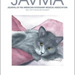 An issue of the Journal of the American Veterinary Medical Association (JAVMA) with a grey cat laying on a pink blanket