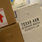 Photo of mail package with a white Texas A&M Veterinary Medical Diagnostic Lab sticker