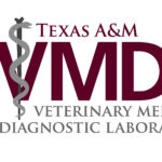 Texas A&M Veterinary Medical Diagnostic Laboratory TVMDL logo in maroon and grey color on a white background and grey veterinarian symbol.