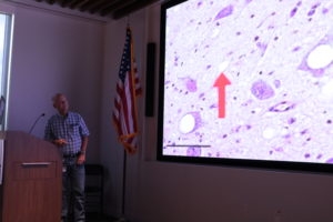 man in short sleeved blue and white plaid shirt making a presentation about microscopic analysis behind a lectern