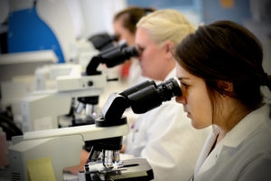 Group of women technicians looking through microscopes in lab