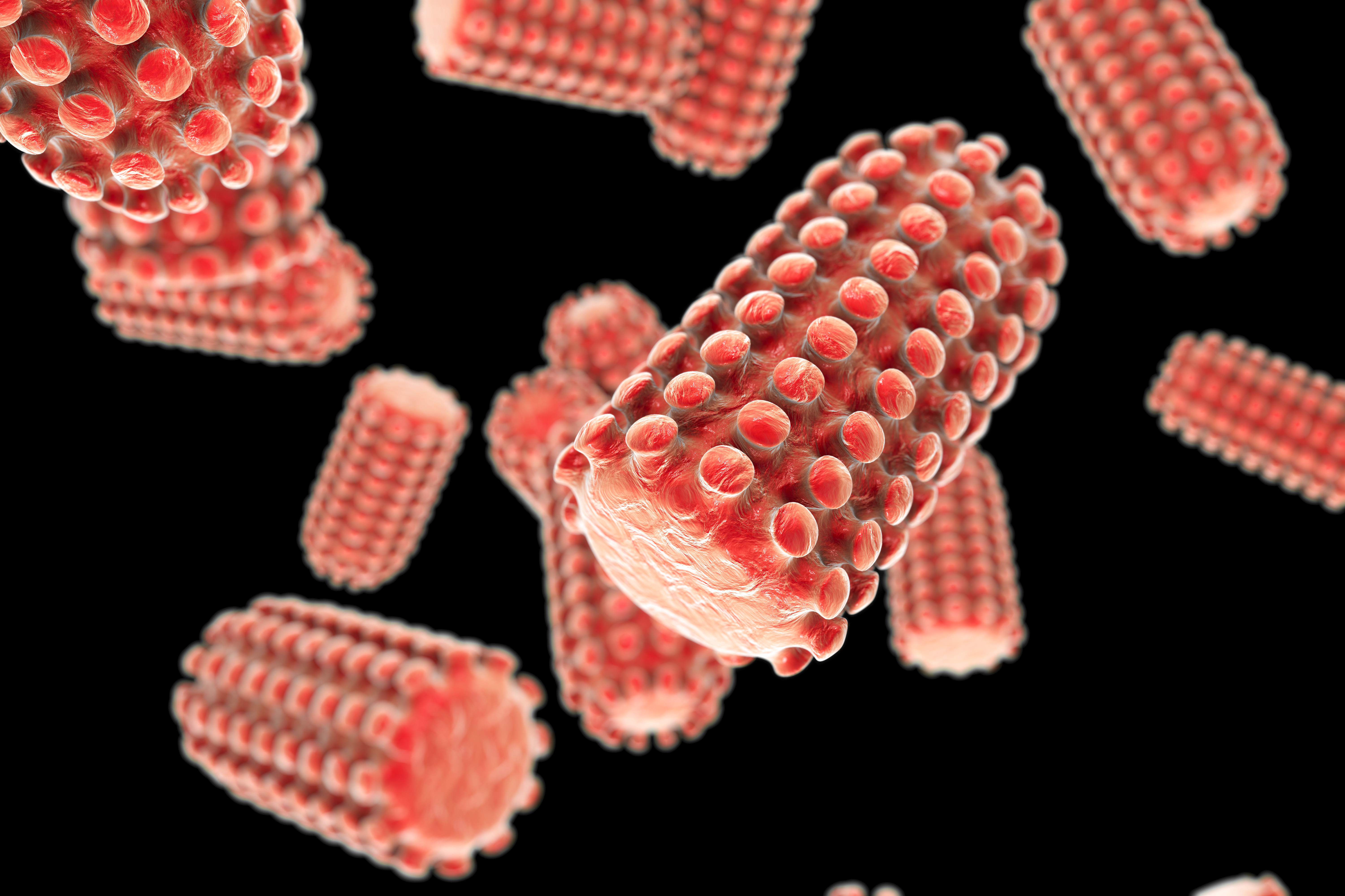 3D illustration of a rabies virus isolated on black background, a virus