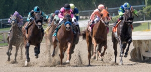 Horse jockeys riding brown horses in a horse race