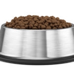 Dog or Cat dry food in stainless steel bowl isolated on white - pets bowl. 3d illustration.