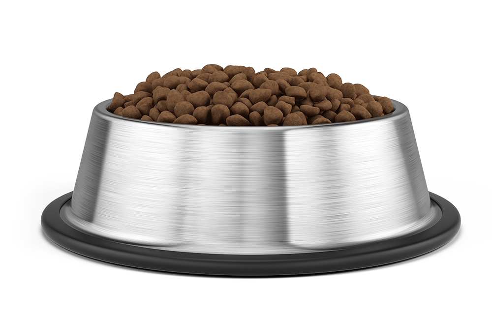 dog food bowl png