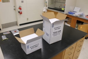 Two white cardboard boxes used for shipping