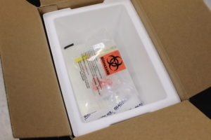 clear biohazard bag inserted into styrofoam cooler in cardboard box