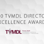What hexagonal background with the words "2020 TVMDL Director's Excellence Awards"