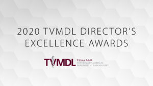 What hexagonal background with the words "2020 TVMDL Director's Excellence Awards"