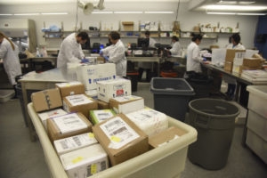 Multiple people in white lab coats unloading and processing packages