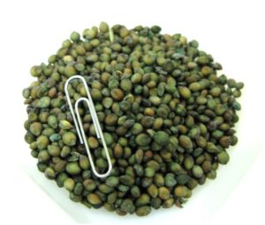 Green seeds used as gopher bait
