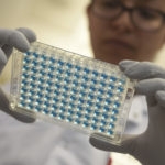 woman closely inspecting a testing plate with numerous blue wells on it