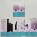 Eight glass slides with blood smears used as examples