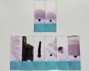 Eight glass slides with blood smears used as examples