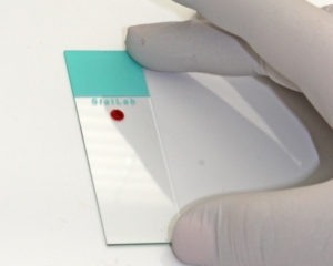 Hand in white glove holding glass slide with drop of blood on it