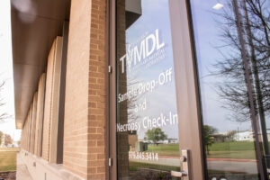 image of window with TVMDL logo