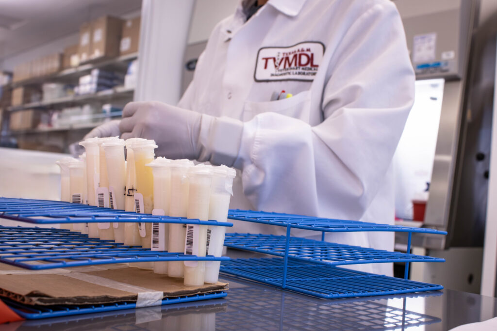 test tubes with white liquid in blue tray