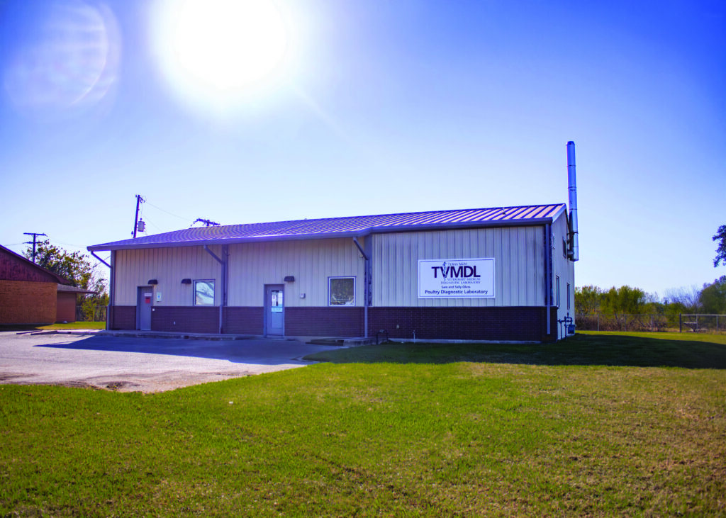 beige metal building sitting in front of blue sky with sun overhead