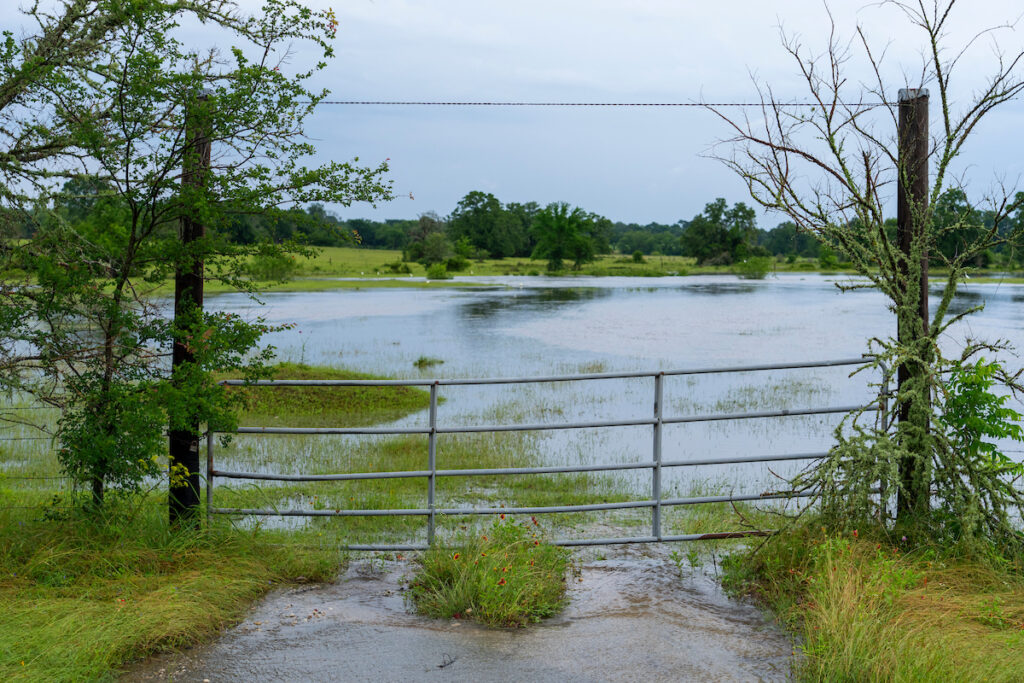 Flash flooding is visible through a gate
