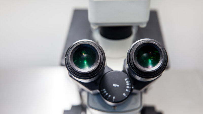Close up of stereo microscope eyepieces in the laboratory